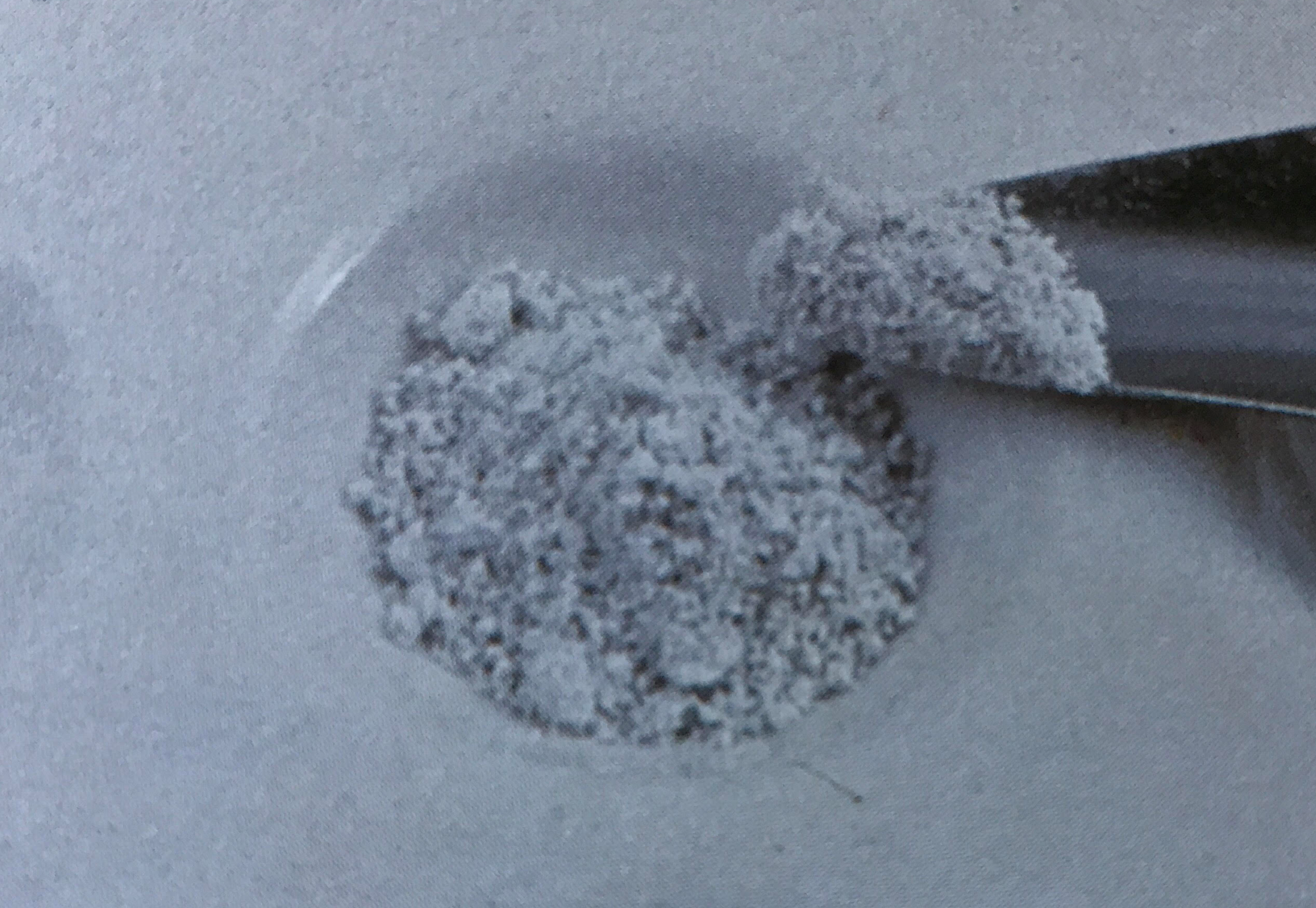 White powder placed in a depression. 