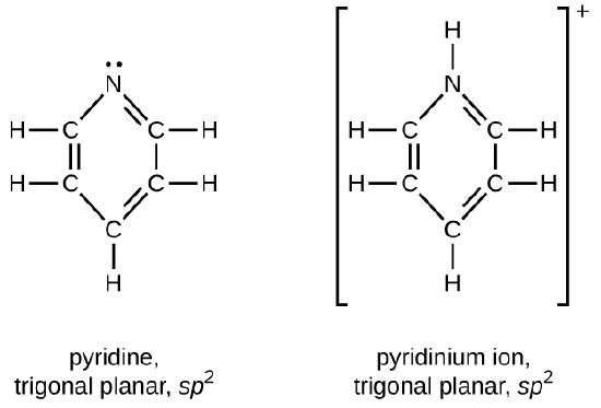 E Organic Chemistry Exercises Chemistry Libretexts E Organic Chemistry Exercises Chemistry Libretexts