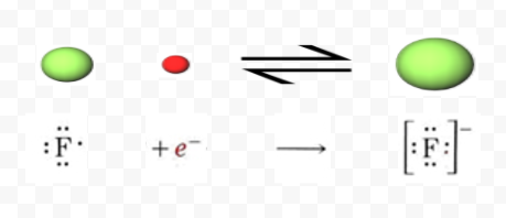 Left side of the equation shows a green sphere labeled F with seven dots representing the seven valence electrons. This F reacts with a small red sphere labeled e superscript negative. The resulting product is a larger green sphere labeled F with 8 electrons in a square bracket with a superscript negative sign.