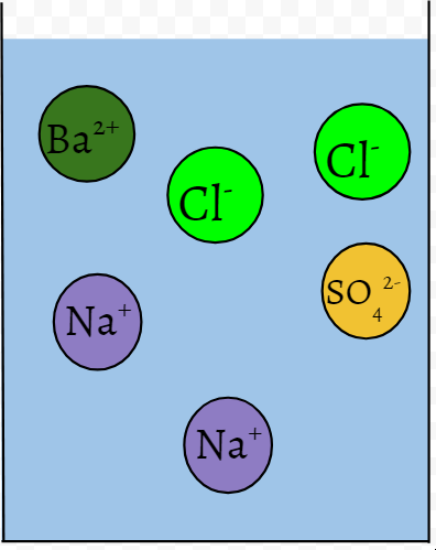 Diagram of a solution with 2 positive sodium ions, 2 negative chlorine ions, a single barium ion, and a single sulfate ion.