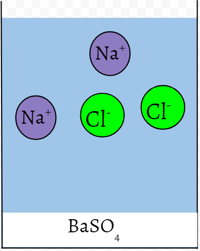 Diagram of a solution with 2 positive sodium ions and 2 negative chlorine ions. Below the solution is a layer of barium sulfate precipitate.