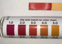 Example of a strip of litmus paper being compared to the color chart on the bottle.
