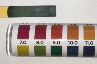 Example of a strip of litmus paper being compared to the color chart on the bottle.