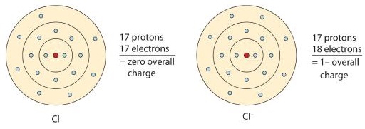 Neutral chlorine atom on left has 17 protons and 17 electrons. Sodium ion on right has 17 protons and 18 electrons, with a -1 overall charge.