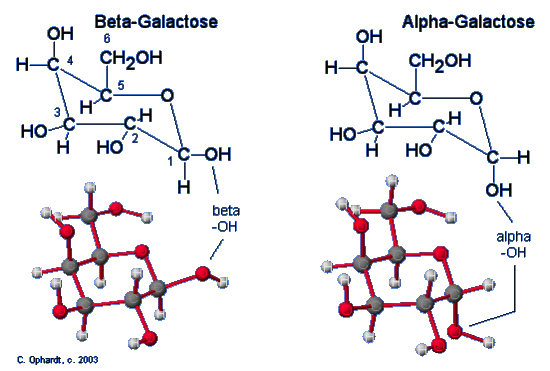 Beta and Alpha Galactose.gif