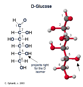Glucose (Dextrose) - Chemistry LibreTexts