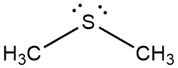 1.11: Hybridization of Nitrogen, Oxygen, Phosphorus and Sulfur ...