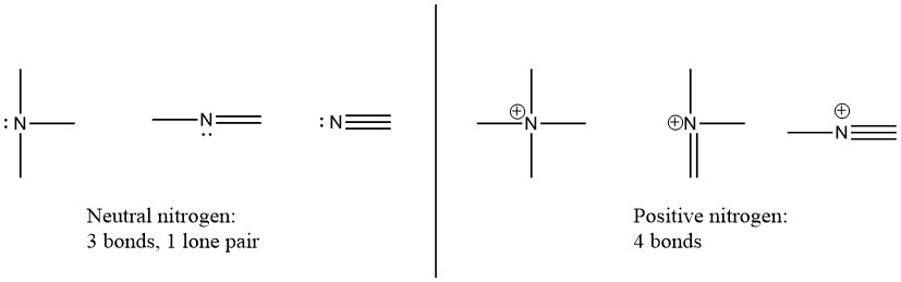 Neutral nitrogen has three bonds and one lone pair. Positive nitrogen has four bonds and no lone pairs.
