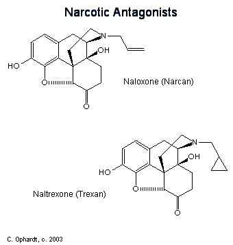 4.gif