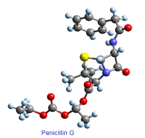 Penicillin_stick.gif