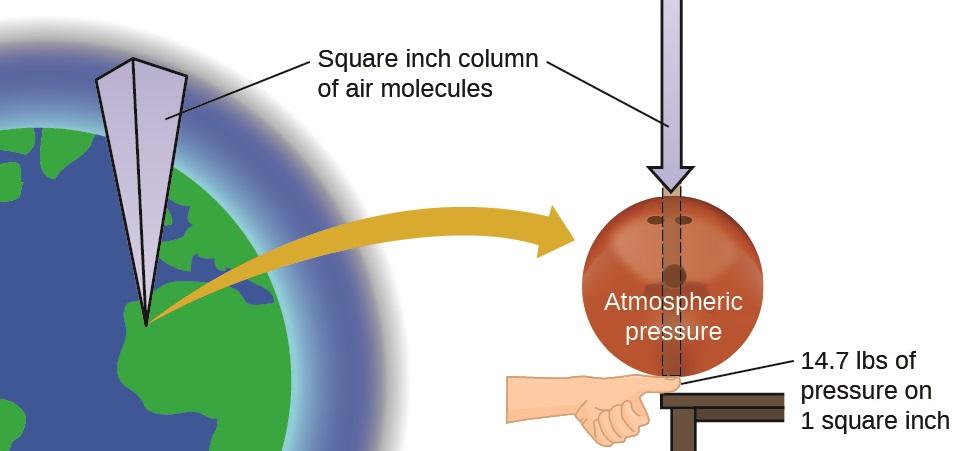 Diagram of Earth with a square inch column of air molecules extending to the atmosphere. This column points to an arrow pointing down on a bowling ball resting on a human thumbnail placed on top of a table.