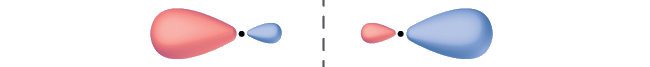 Two orbitals are shown lying end-to-end. Each has one enlarged and one small side. The small sides are facing one another and are separated by a vertical dotted line.