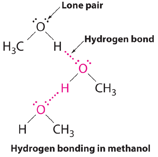 Hydrogen bonding in methanol. 