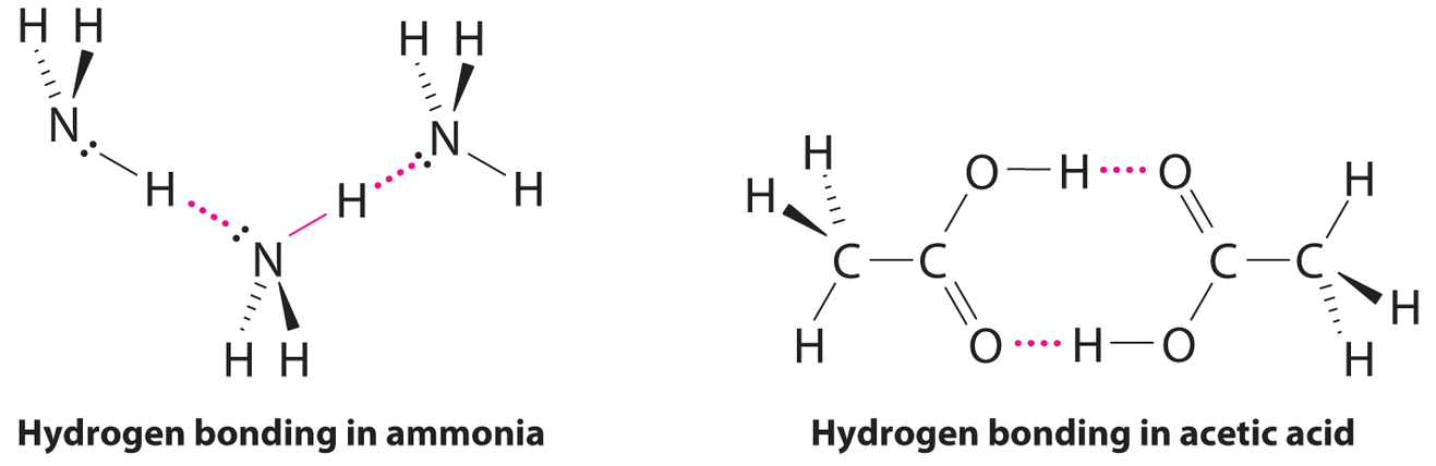 Hydrogen bonding in ammonia between nitrogen and hydrogen. hydrogen bonding in acetic acid is between oxygen and hydrogen. 