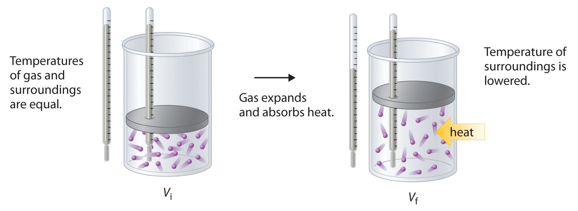 Temperatures of gas and surroundings are equal. Then the gas expands and absorbs heat. Temperature of the surroundings is then lowered. 