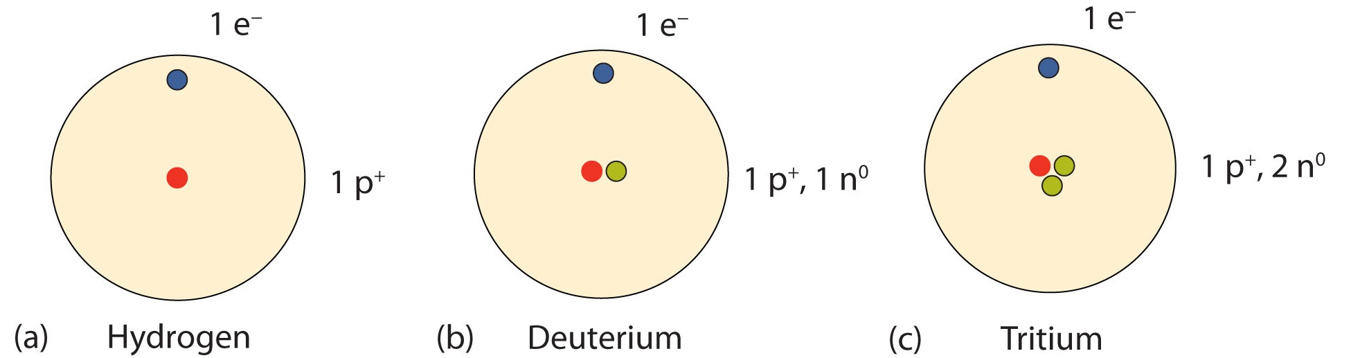 Isotopes of Hydrogen. Most hydrogen atoms have only a proton in the nucleus (