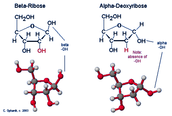 Figure 3.gif