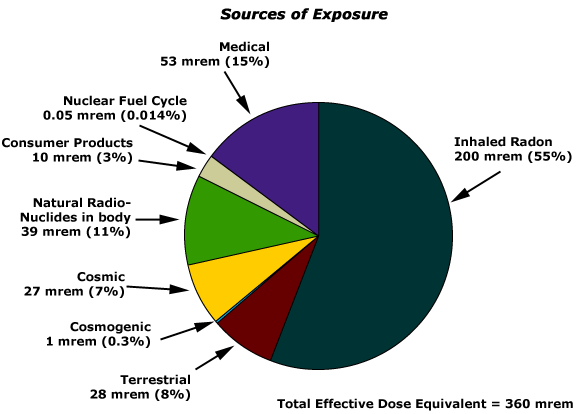 Everyday Radiation Exposure Chart