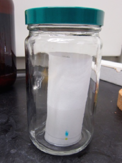 Example of a simple paper chromatography experiment being performed.