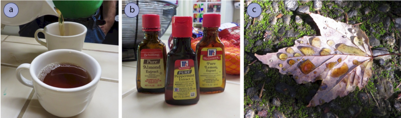 Three images labelled A, B, and C. A: brewed hot tea being poured into teacups. B: bottles of flavor extracts: almond, peppermint, and lemon. C: dead leaf laying on grass with water droplets on it. The water droplets are brown, matching the pigment of the leaf. 