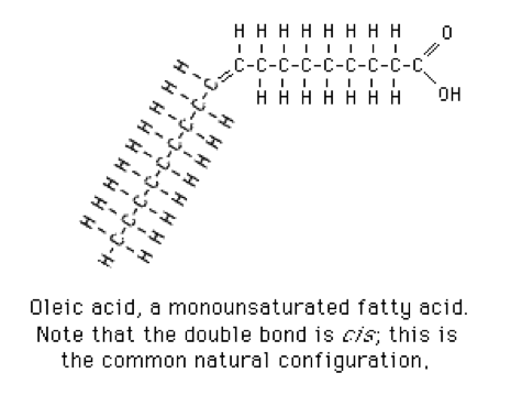 figure5.png