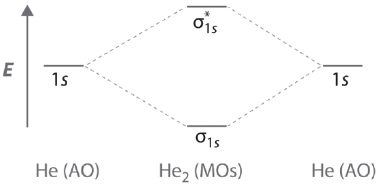 Figure 1.png