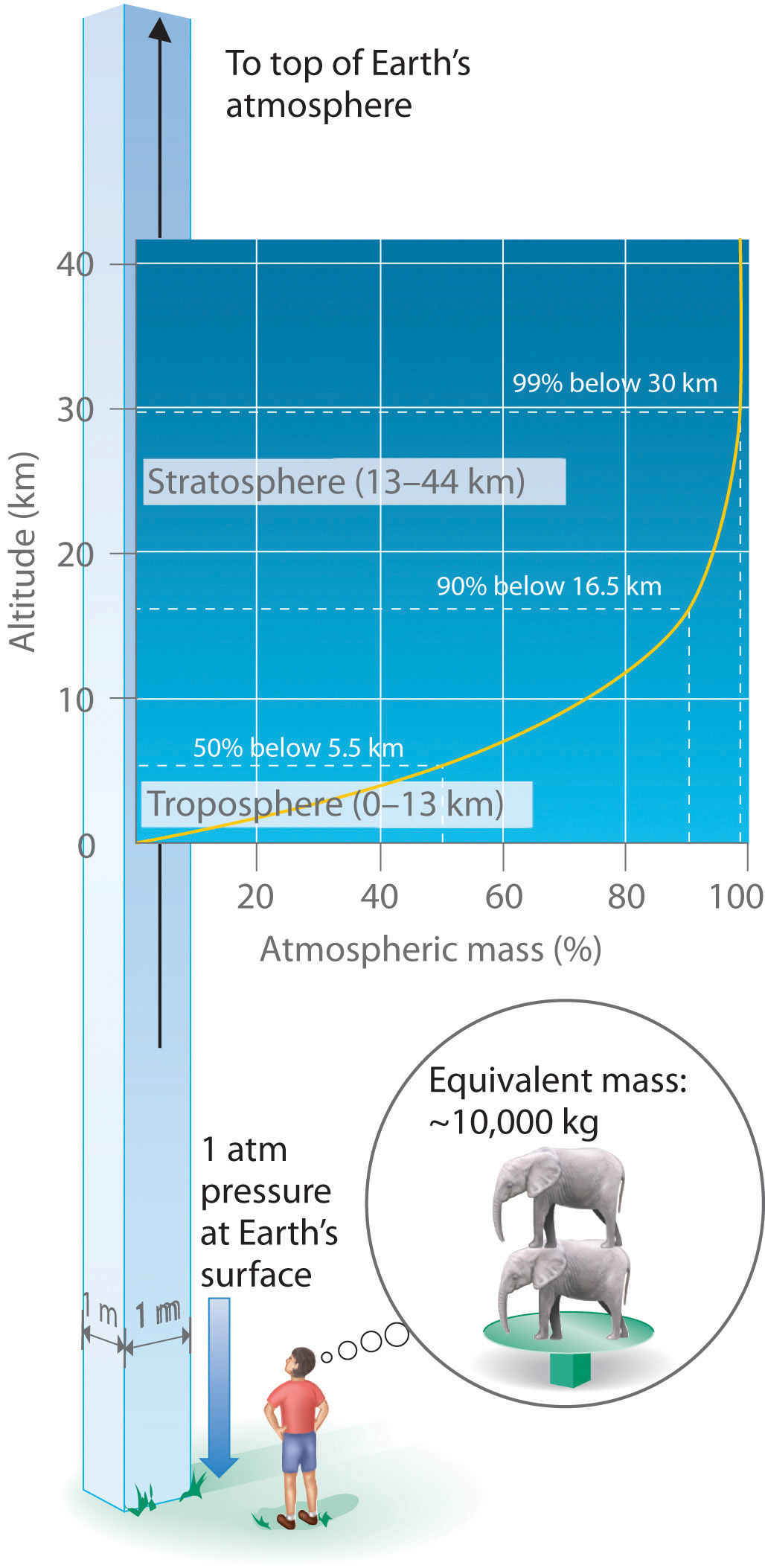 1 atm pressure at Earth's surface equals the equivalent mass of  10,000 kg or two elephants