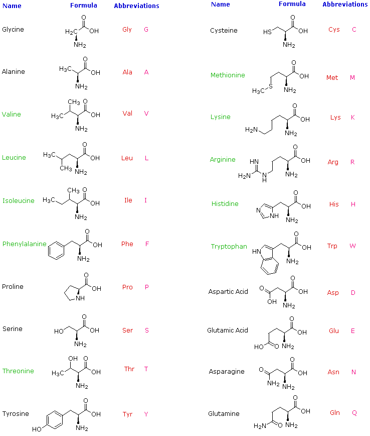Amino Acid Structure Chart Pdf