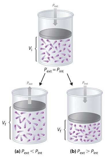 The three diagrams which represents the different cases show gaseos molecules shown as spheres in motion in an enclosed cylinder with piston acting from above.  The top diagram shows the equilibrium case while the two diagram below it shows cases where external pressure is not equal to internal pressure. 