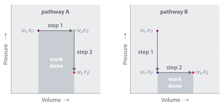 Two graphs are shown with pressure on the vertical axis and volume on the horizontal axis. Pathway A with arrow pointing right then step 2 has arrow which points from the first arrow straight down. Pathway B has step 1 with arrow pointing straight down then step 2 with an arrow pointing from step 1 straight to the right. The area in pathway A is encompassed by the two arrows. The area in pathway B is found under the step 2 arrow.