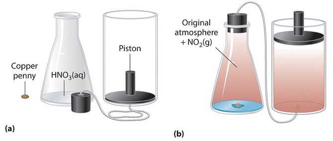 Diagram a shows an Erlenmeyer flask with nitric acid in it and a copper penny beside the flask. A cylidrical container with a piston is shown connected by a tube to a flask stopper. The second diagram shows the copper penny inside the flask and the stopper placed on the neck of the flask. The flask and the cylindrical container is filled with a brownish vapor. The piston is at an elevated position compared to the first diagram since it's pushed upwards by the vapor.