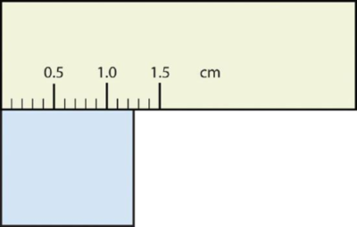 Una regla de medición con un bloque azul claro en blanco debajo.