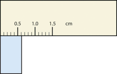 A measuring ruler with a blank light blue block underneath.
