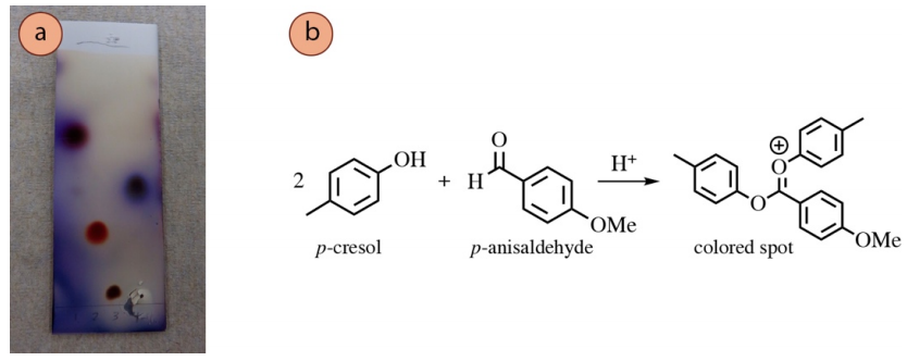 rho-cresol and rho-anisaldehyde react with H plus to produce the colored spot. 