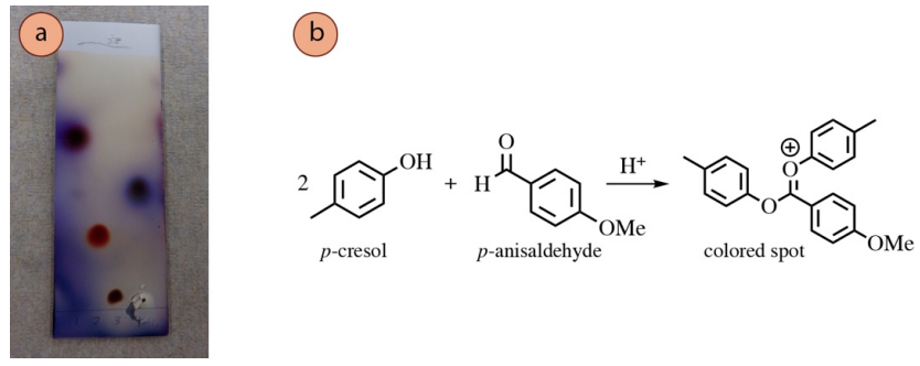 rho-cresol and rho-anisaldehyde react with H plus to produce the colored spot.