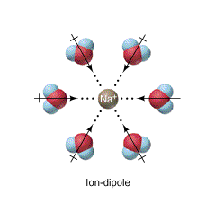 c11-ion-dipole.png