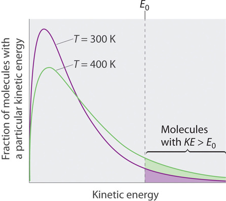Graph of fraction of molecules with a particular kinetic energy against kinetic energy. Green line is temperature at 400 kelvin, purple line is temperature at 300 kelvin. 