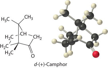 Bond line drawing and molecular structure of d-(+)-Camphor
