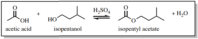 Reacción química: el ácido acético más isopentanol reaccionan en presencia de ácido sulfúrico para formar acetato de isopentil más agua.