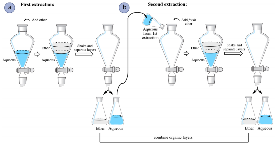  First extraction: ether is added to an aqueous solution, then shaken and separated. Fresh ether is added to the aqueous layer from first extraction, shaken, and separated.