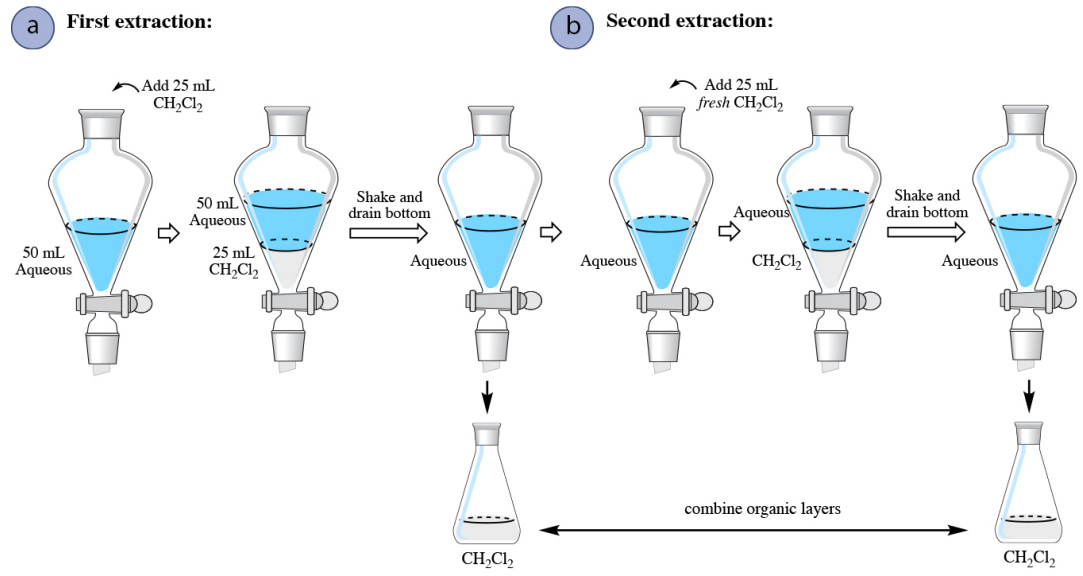  First extraction: 25 milliliter C H 2 C l 2 added to 50 milliliter aqueous solution. C H 2 C l 2 separates to bottom of flask. C H 2 C l 2 is drained from spout at the bottom of the flask. Process is repeated for second extraction.
