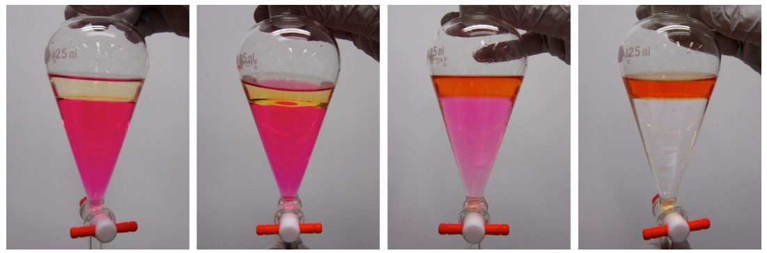 Cuatro fotos que muestran la extracción de rojo de metilo en embudos. De izquierda a derecha: el líquido coloreado se mueve gradualmente de una gruesa capa de líquido rosa en la parte inferior del embudo a una fina capa de líquido naranja en la parte superior del embudo.