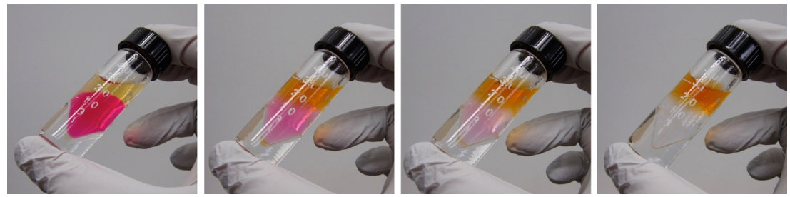 Four images of a closed vial with three layers of liquid. Yellow on top, pink in the middle, and clear on the bottom. From left to right: The layers gradually become less distinct as the colors mix and become lighter. The rightmost vial only has two layers. Orange on top and clear on bottom.