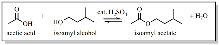 Ecuación química: ácido acético + alcohol isoamílico con ácido sulfúrico catalítico produce acetato de isoamilo y agua.