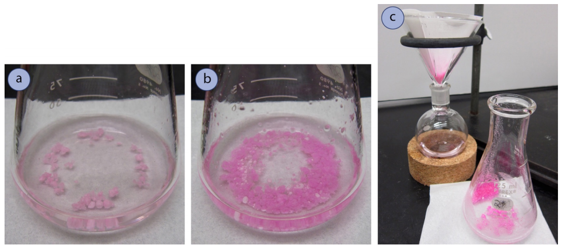   A: Closeup of flask with clear liquid and sparse amounts of pink, powdery clumps at the bottom. B: Same flask, now with substantial amounts of pink clumps and stronger pink color. C: The clear fluid was poured into a funnel. Pink powder is dried in the funnel and along the side of the flask. The pink is as strong as it was in image B.