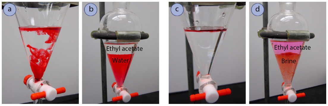   A: Flask with clear fluid and red dye floating in it. B: Fluid has separated into a red aqueous layer on the bottom and a clear top layer. Bottom layer labelled "water", top layer labelled "ethyl acetate". C: flask now has clear fluid throughout with a very thin layer of red at the top. D: Flask with two layers of fluid. Top layer, labelled ethyl acetate, is tinted pink. Bottom layer, labelled brine, is foggy and red.