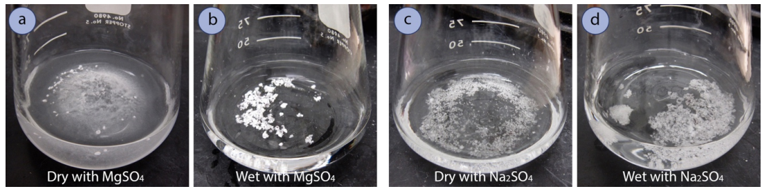    A: flask with clear liquid and diffuse white powder along the bottom. Bottom caption: "Dry with M g S O 4". B: clear liquid with white clumps at bottom. Bottom caption: "Wet with M g S O 4". C: flask with clear liquid and diffuse white dots along the bottom. Bottom caption: "Dry with N a 2 S O 4". D: clear liquid with white clumps at bottom. Bottom caption: "Wet with N a 2 S O 4". 