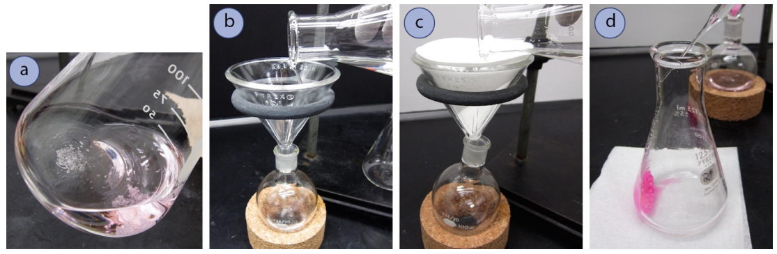   A: Flask tilted to the side; liquid inside has diffuse pink tinting. Part of the bottom of the flask is exposed to air as the liquid is moved to the side; small clumps of powder remain stuck to the exposed bottom. B: Liquid is poured into a funnel, which flows into a smaller flask at bottom. C: Liquid is poured into a funnel with a paper filter inside the funnel. D: A pipette squirts water along the side of a flask, where pink powder is accumulated.