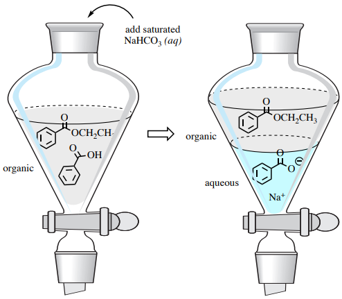  First diagram: single organic layer with benzoic acid and ethyl benzoate. Aqueous sodium bicarbonate is added. Second diagram: flask with two layers. Top organic layer contains ethyl benzoate. Bottom aqueous layer contains benzoic acid.