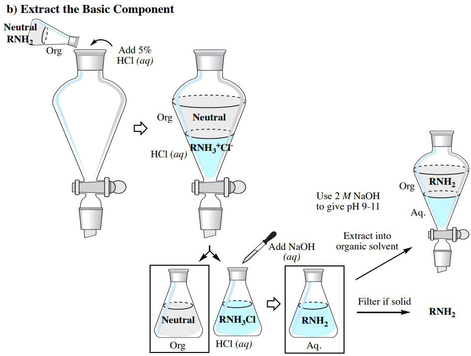  Title: Extract the Basic Component. Organic solution of R N H 2 is added to an empty flask along with 5% aqueous hydrochloric acid. The flask separates into two layers: top organic layer is neutral and empty. Bottom aqueous layer with hydrochloric acid contains salt of chlorid and R N H 3 +. The layers are separated into two flasks. Sodium hydroxide is added to the aqueous layer, reforming R N H 2 from the salt. There are two paths: the first path, labelled "extract into organic solvent", leads to a flask with two layers. Top organic layer contains R N H 2. Bottom aqueous layer is blank. Caption reads "Use 2 Molar N a O H to give p H 9-11". The other path, labelled "filter if solid", leads to R N H 2 by itself.